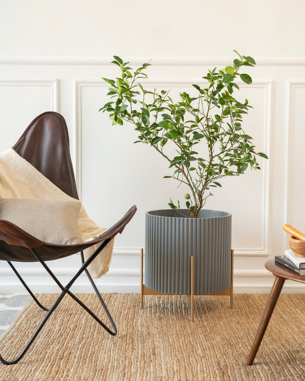 Extra Large Midori Planter With Stand - Grey