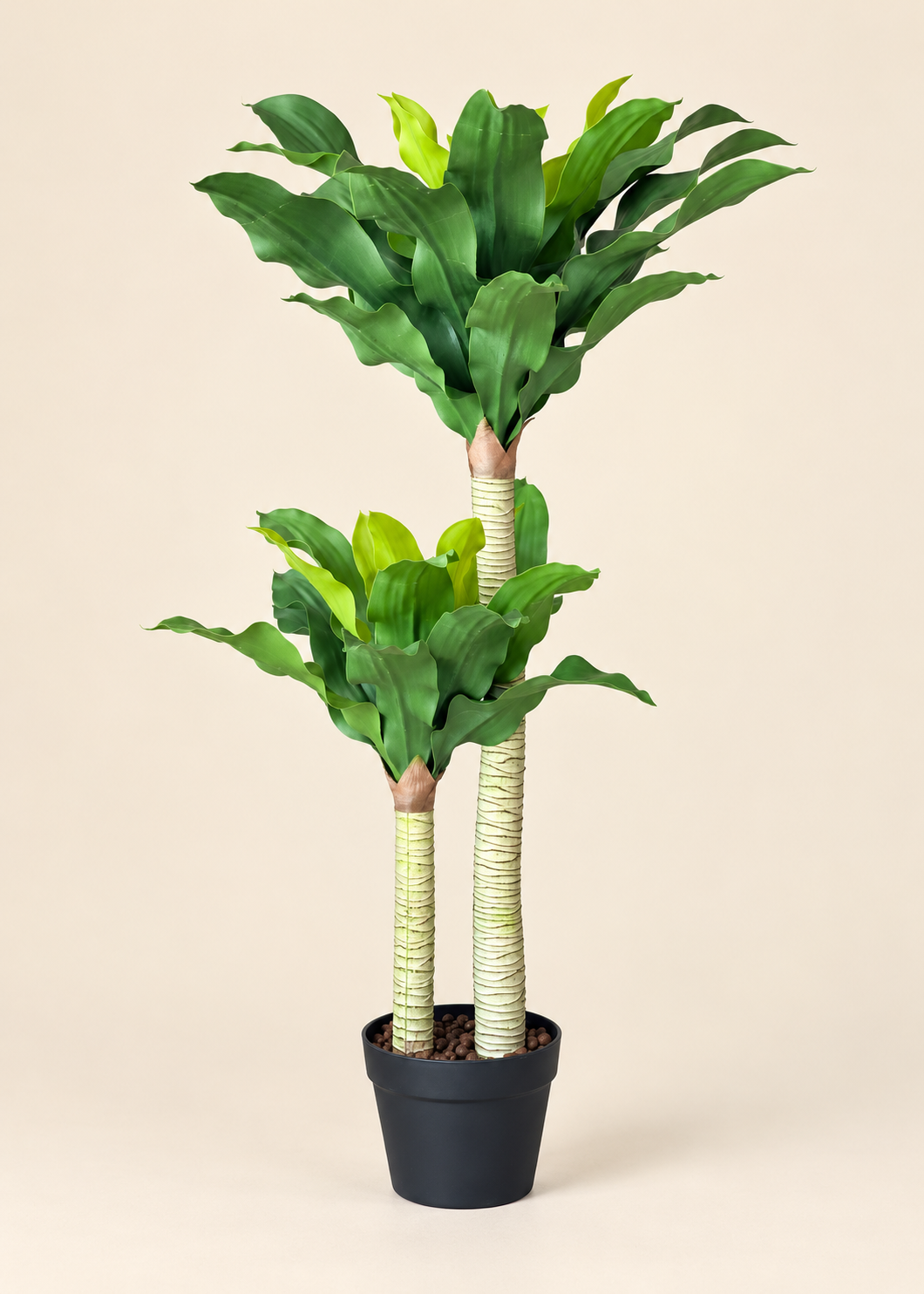 Artificial Twin Crown Dracaena Plant - 3.5 Feet