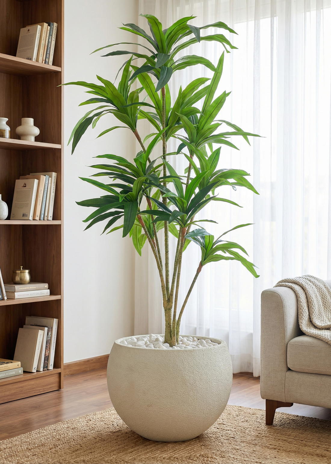 Artificial Botanic Dracaena Plant - 6 Feet