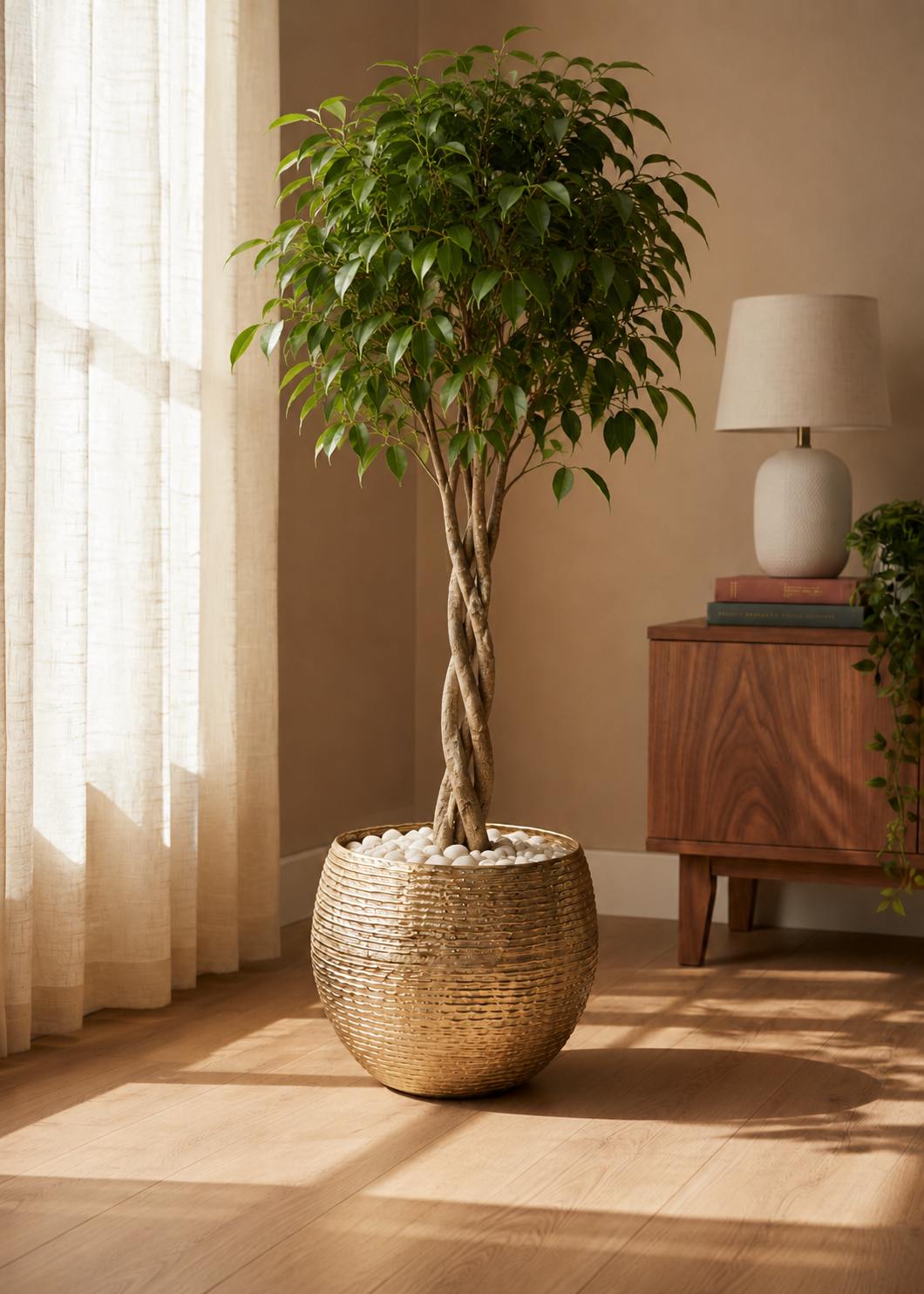 Halo Gold Ring Round Planters