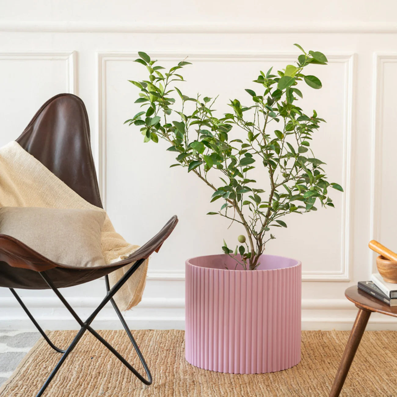 Midori Planter