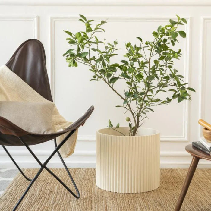 Midori Planter