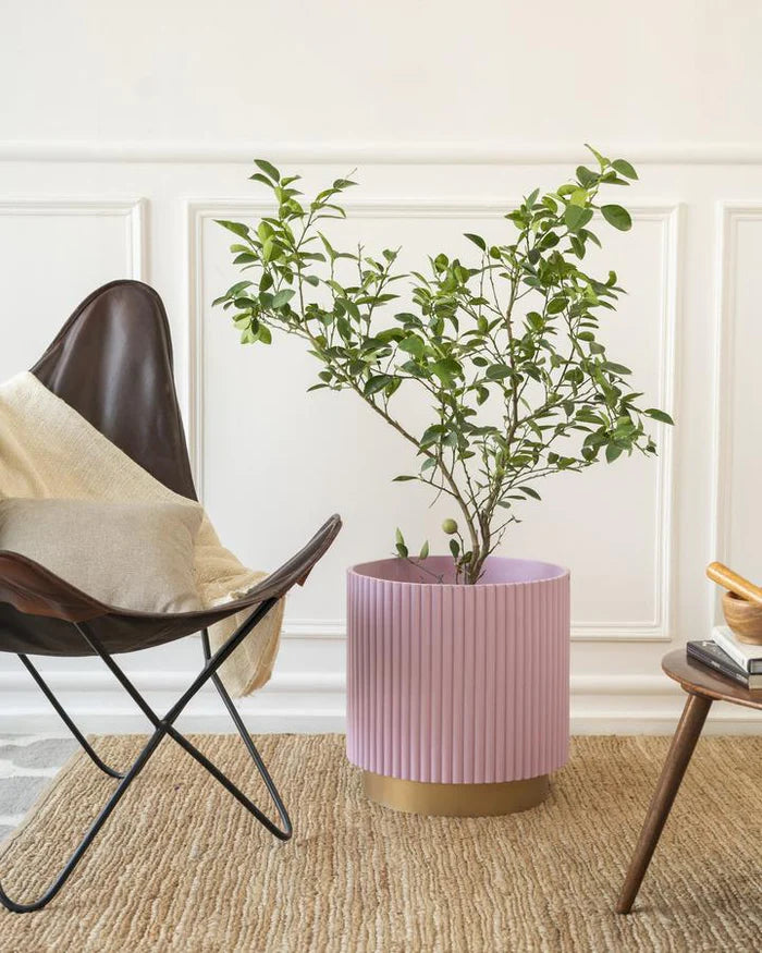 Midori Planter With Base
