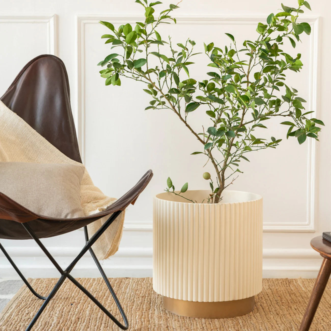 Midori Planter With Base