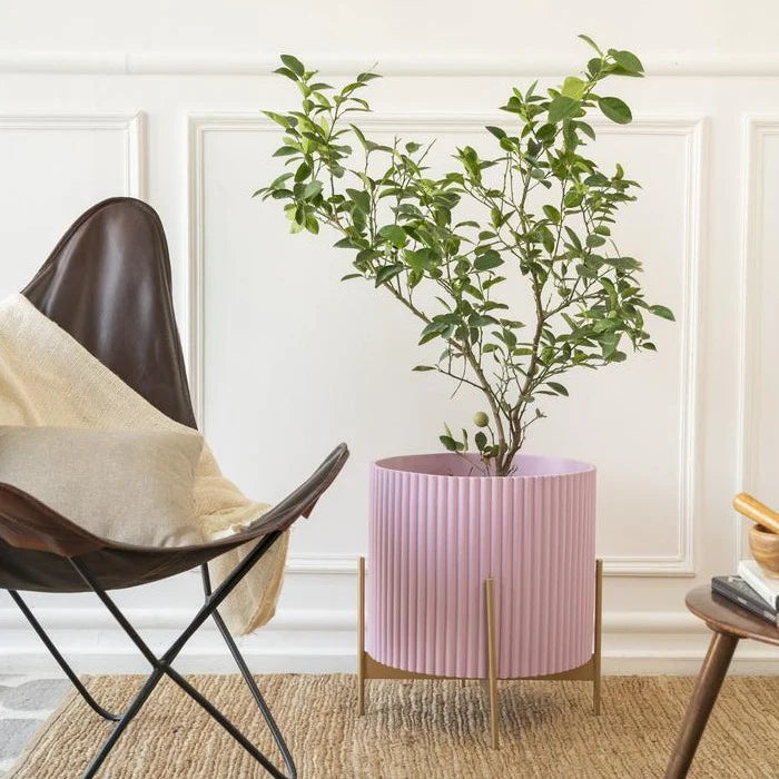 Midori Planter With Stand
