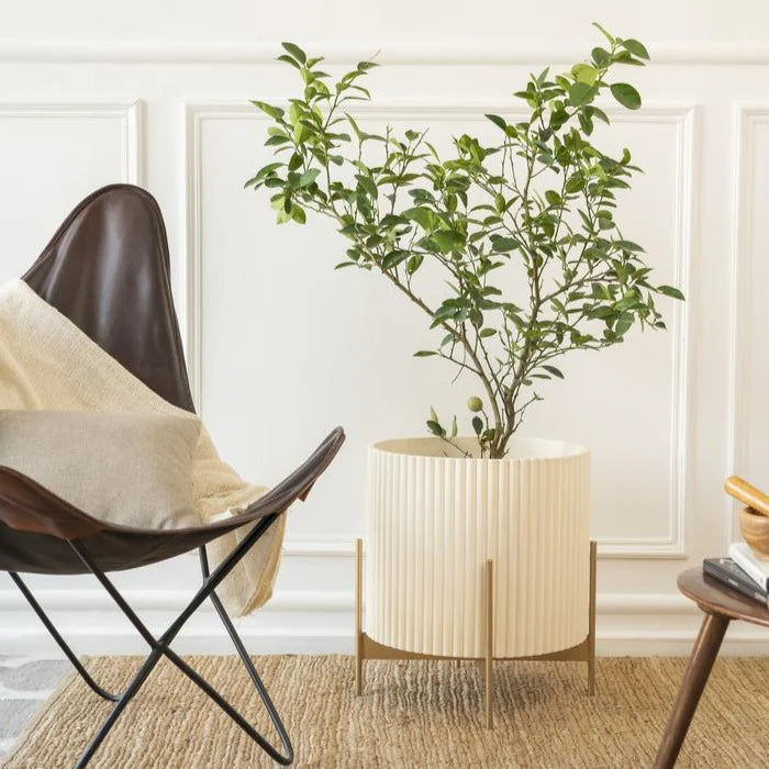 Midori Planter With Stand