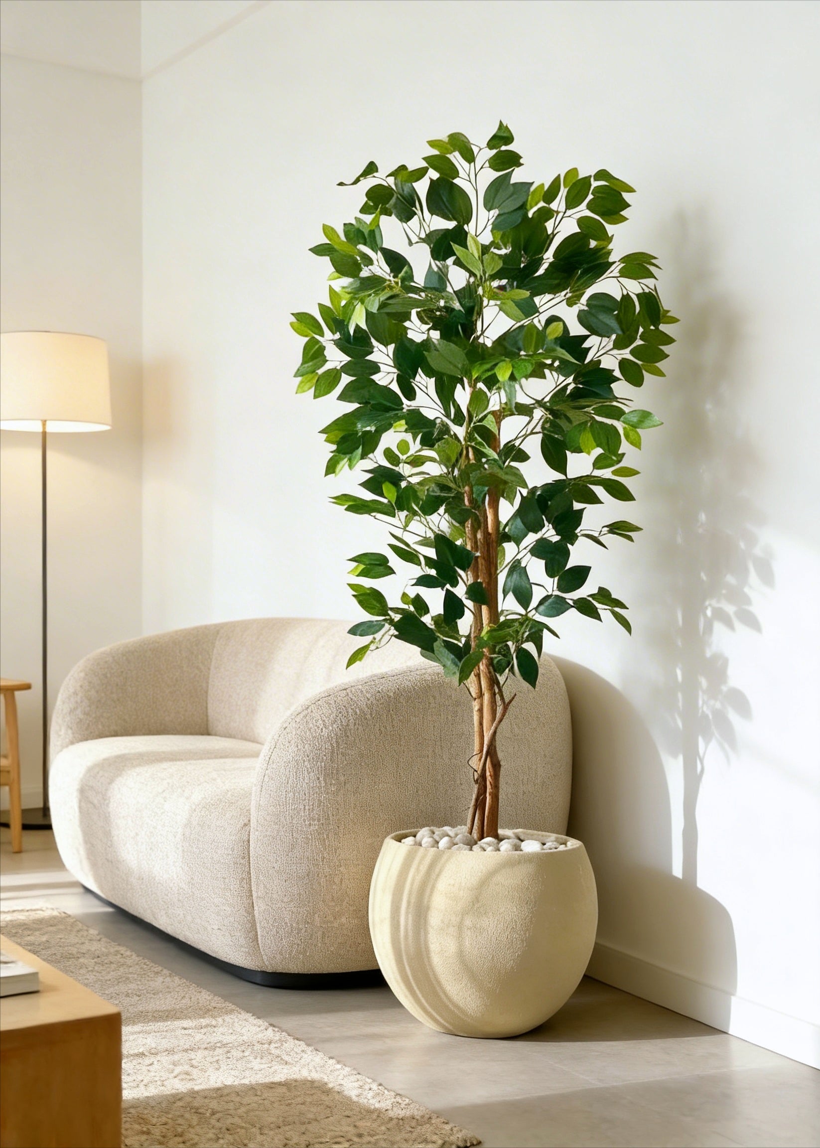 Artificial Grove Ficus Plant - 5 Feet