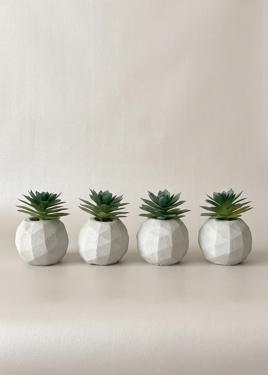 Artificial Beige & Grey Duo Succulent - Set of 4