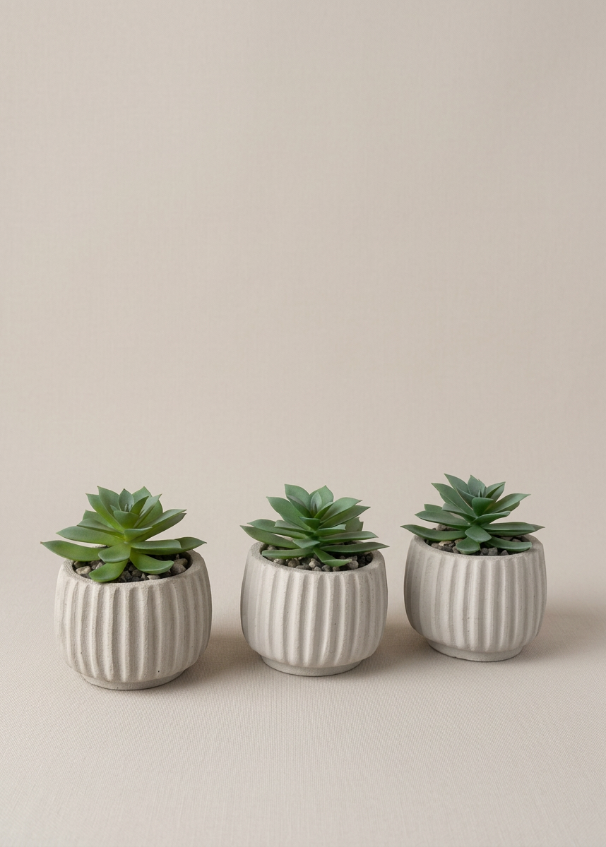Artificial Beige Succulent - Set of 3