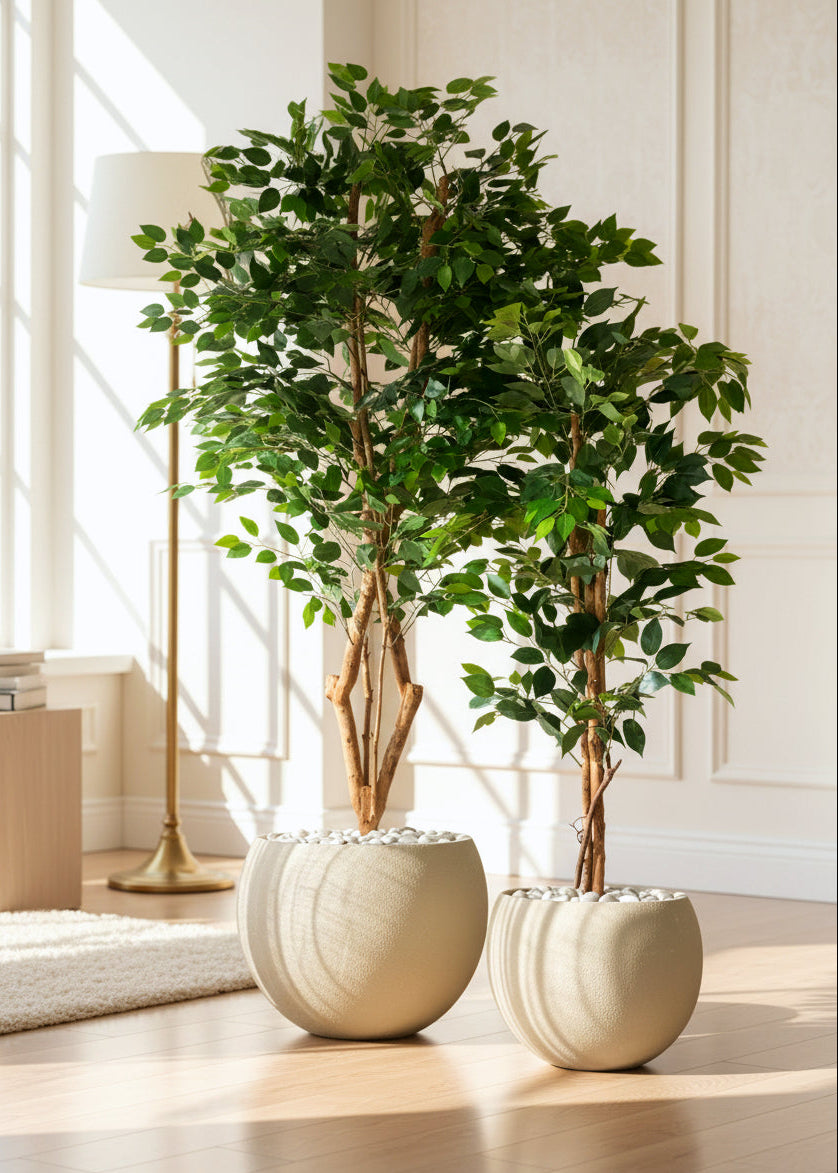 Artificial Grove Ficus Plant - 5 Feet