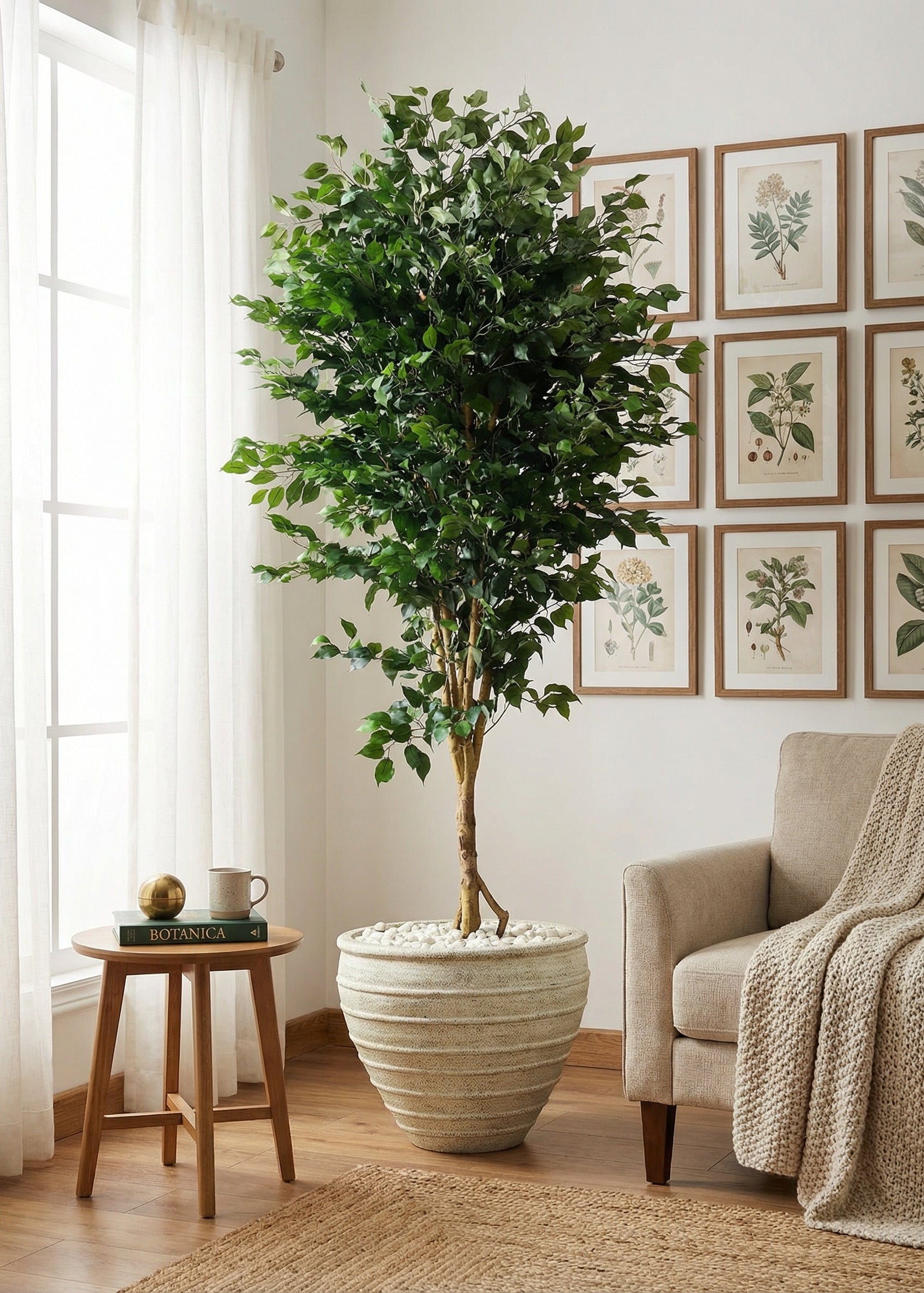 Artificial Grand Ficus Plant - 8.5 Feet