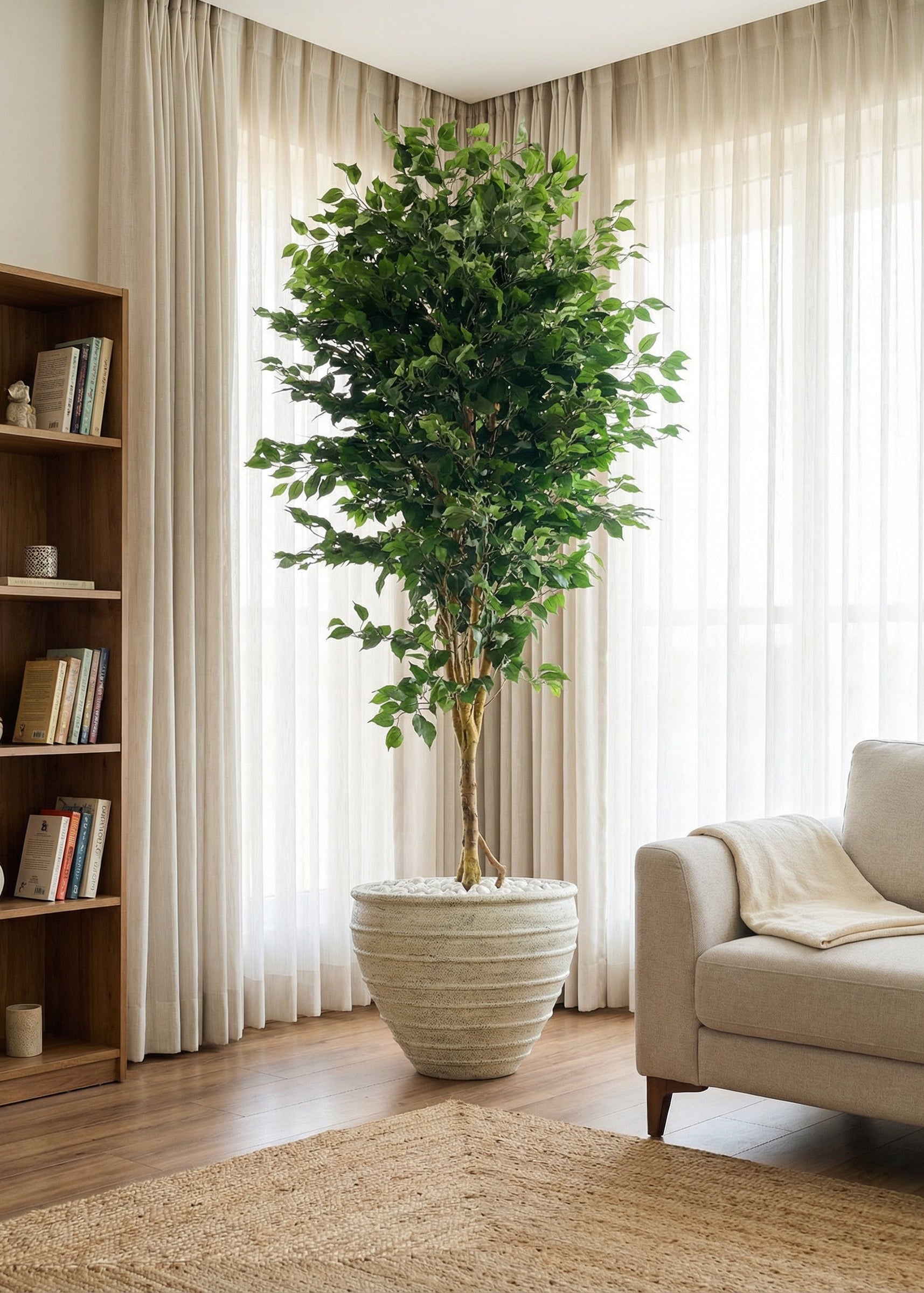Artificial Grand Ficus Plant - 8.5 Feet