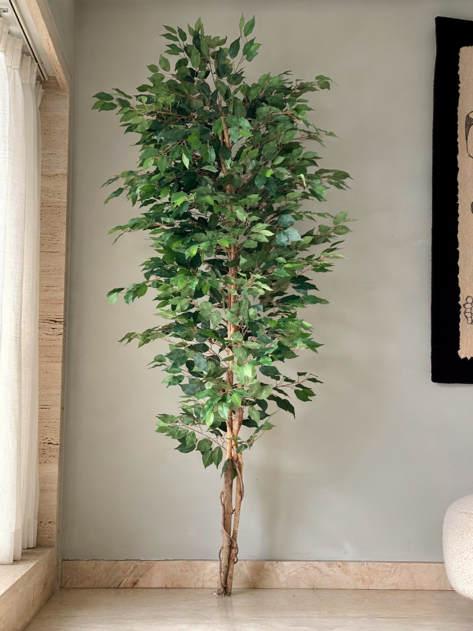 Artificial Weeping Ficus Plant - 7 Feet