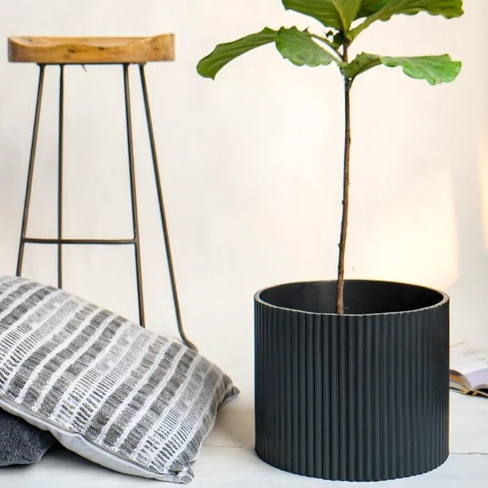 Midori Planter