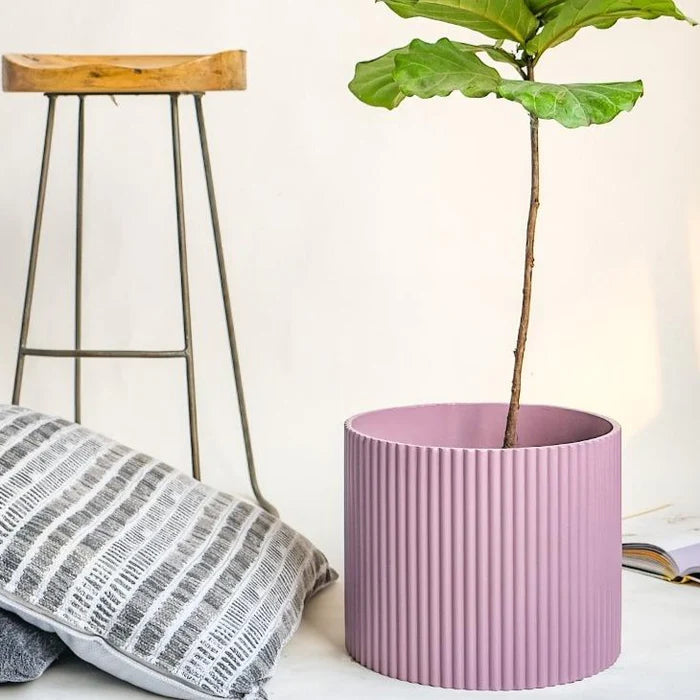 Midori Planter