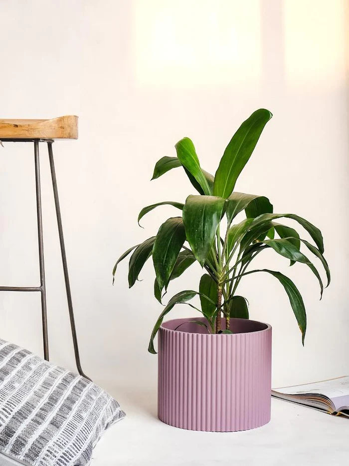 Midori Planter