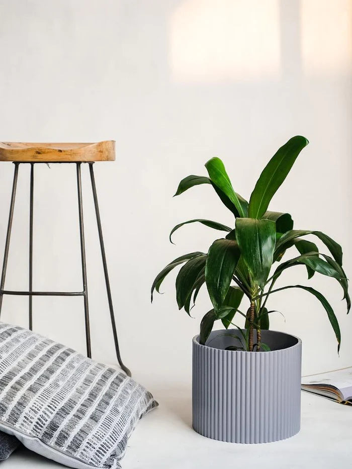 Midori Planter