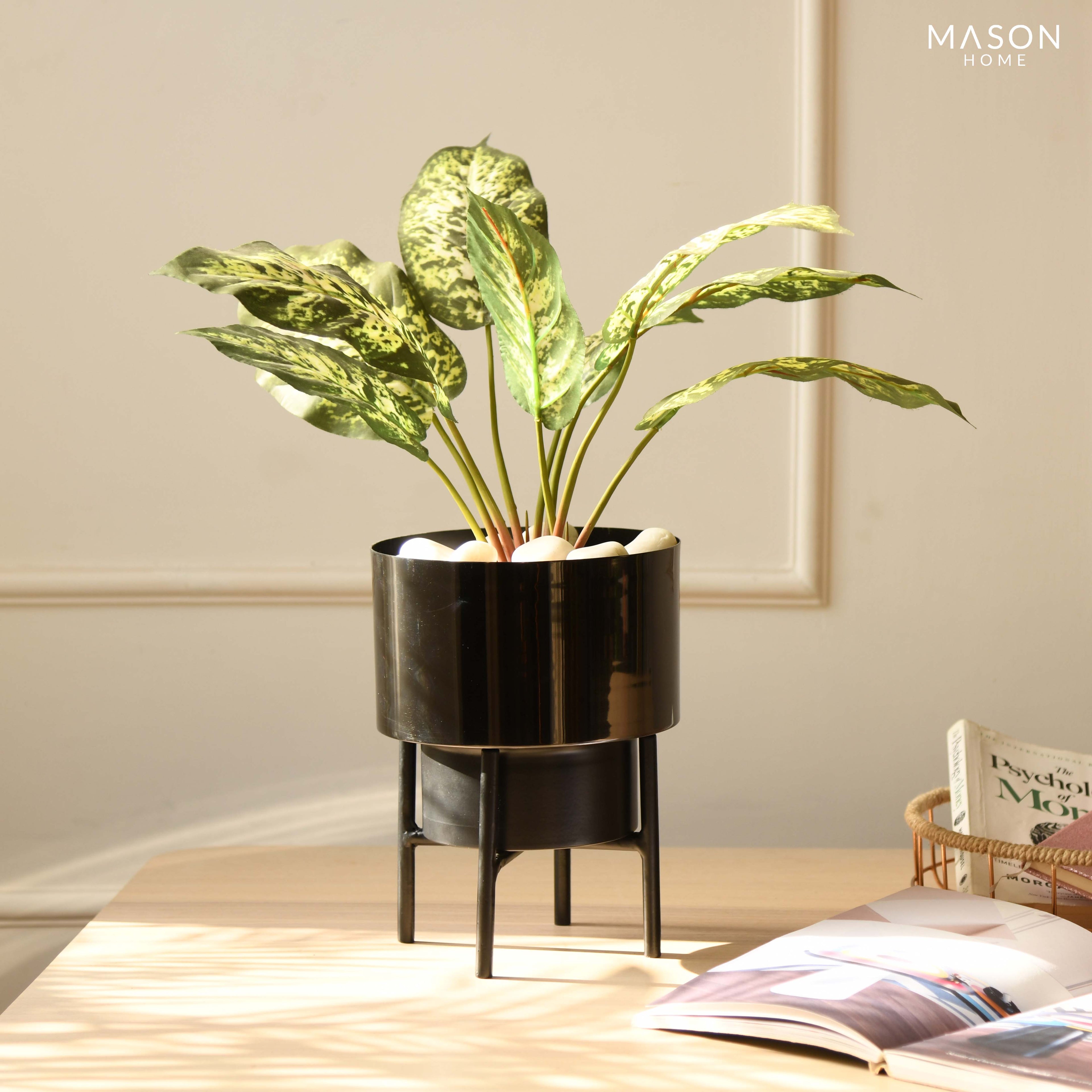 Rodeo Desk Planter - Black