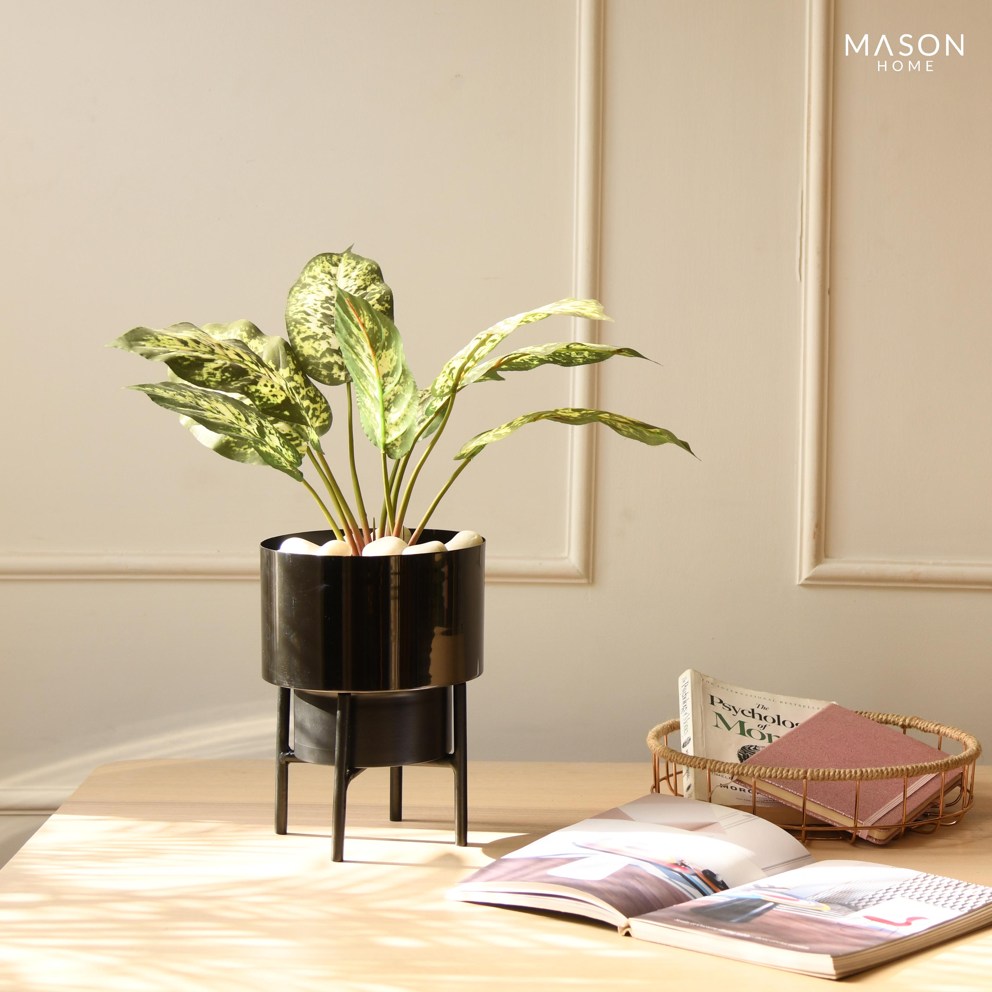 Rodeo Desk Planter - Black