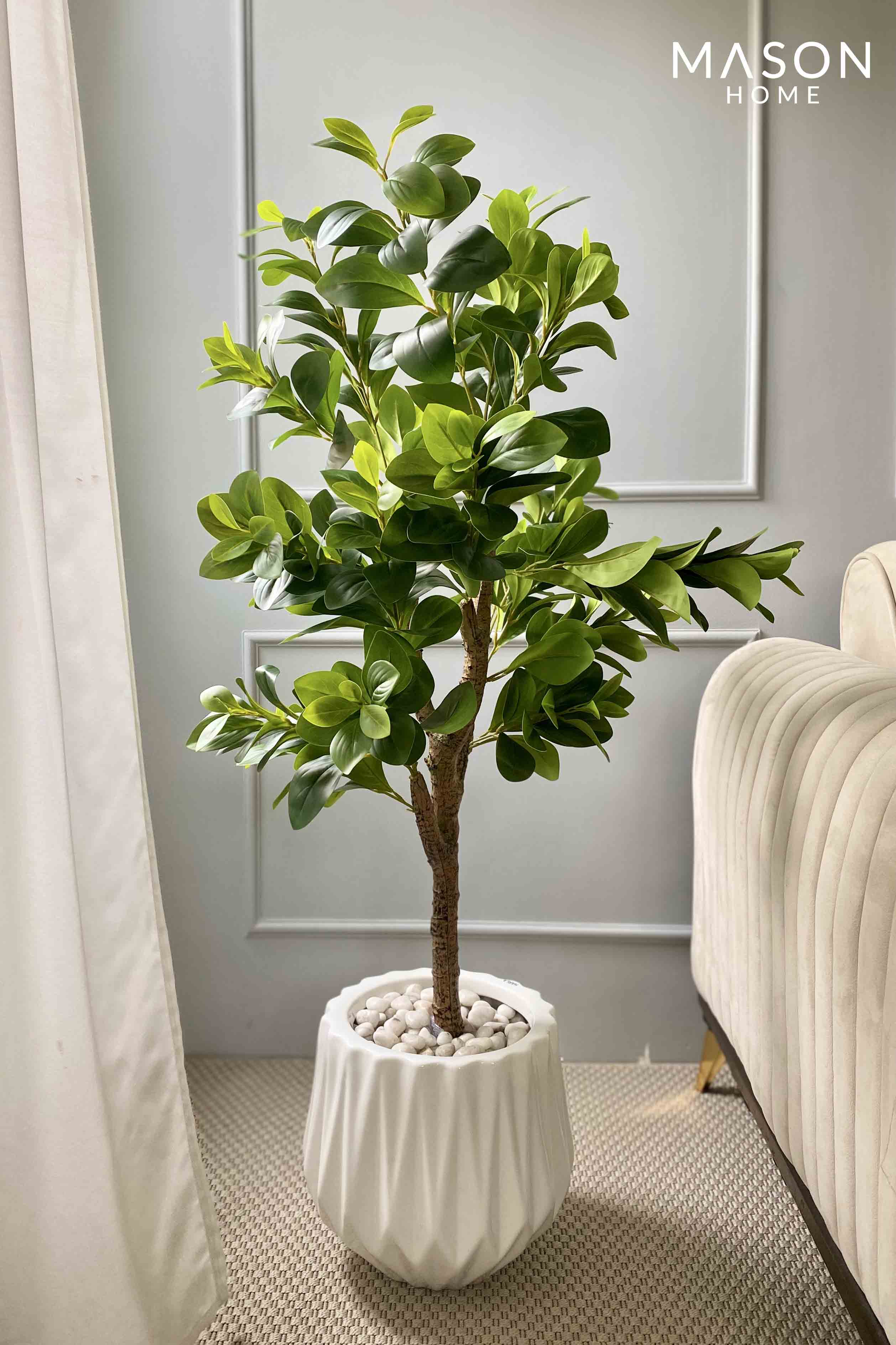 Artificial Peperomia Plant - 4 Feet