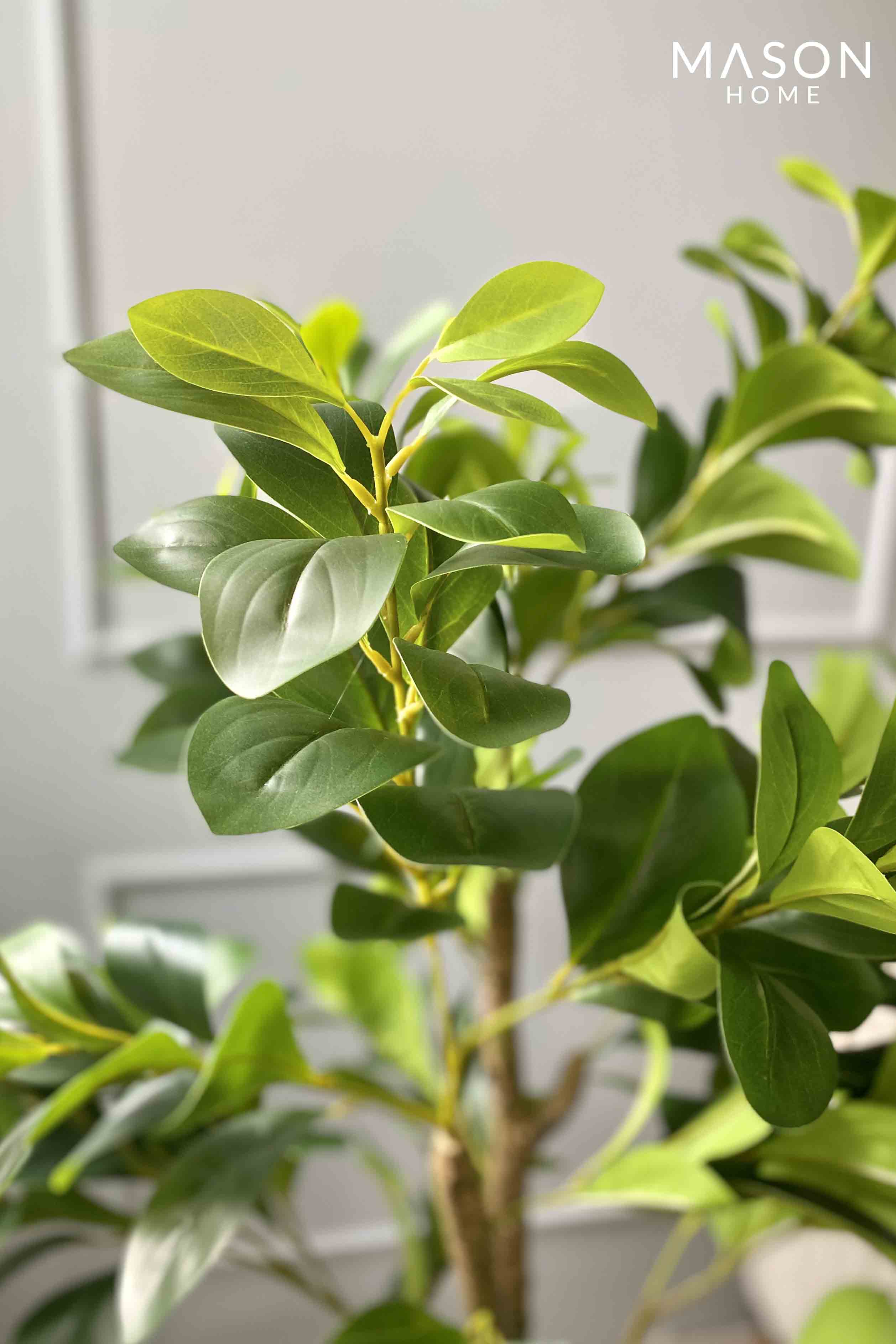 Artificial Peperomia Plant - 4 Feet
