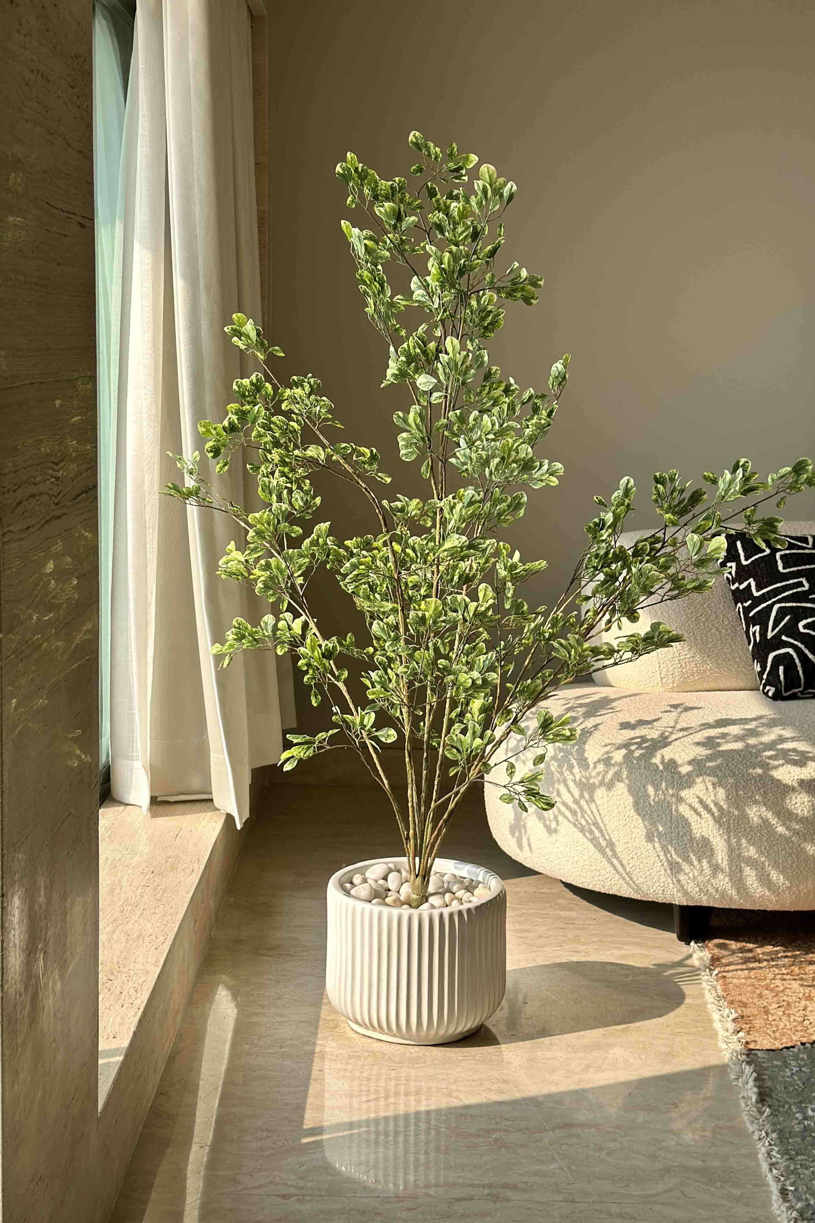 Jade Artificial Plant - 4.5 Feet