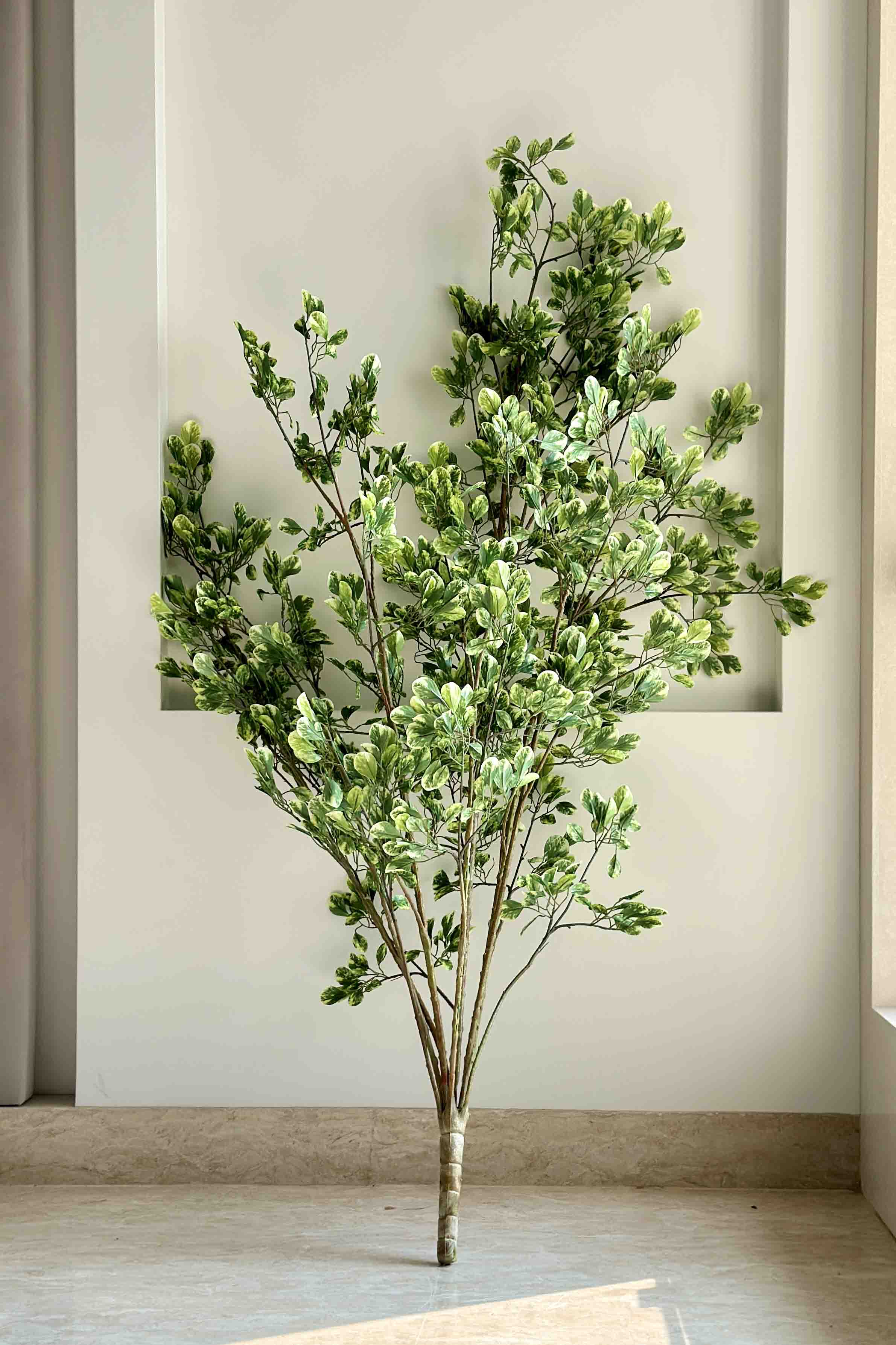 Jade Artificial Plant - 4.5 Feet