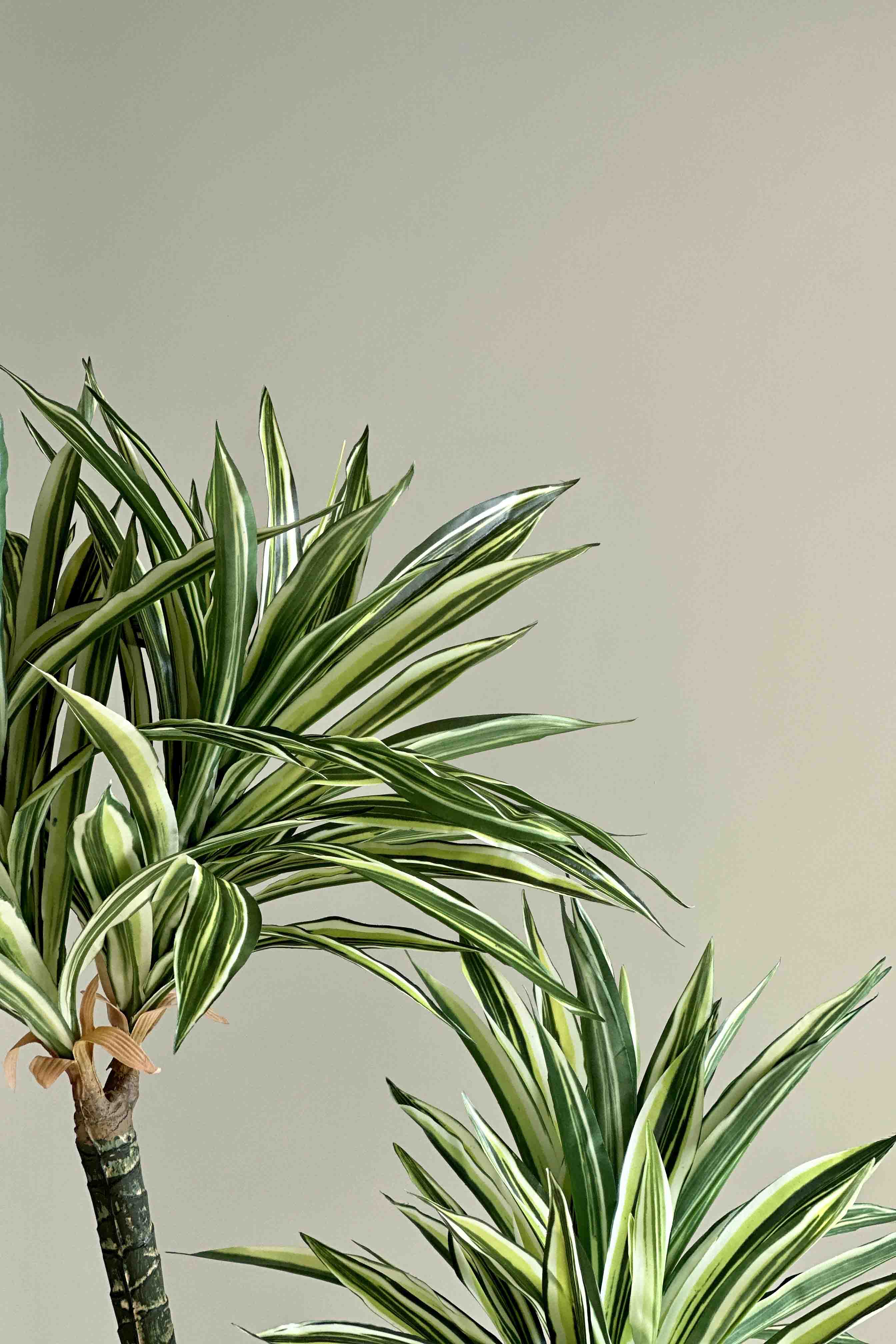 Light Green Yucca Artificial Plant - 4.5 Feet