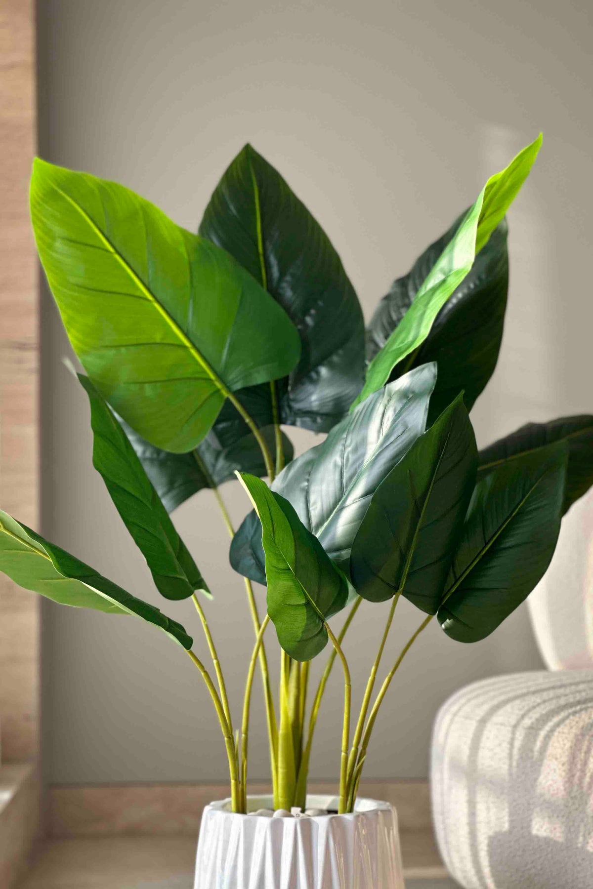 Artificial Taro Plant - 3.5 Feet
