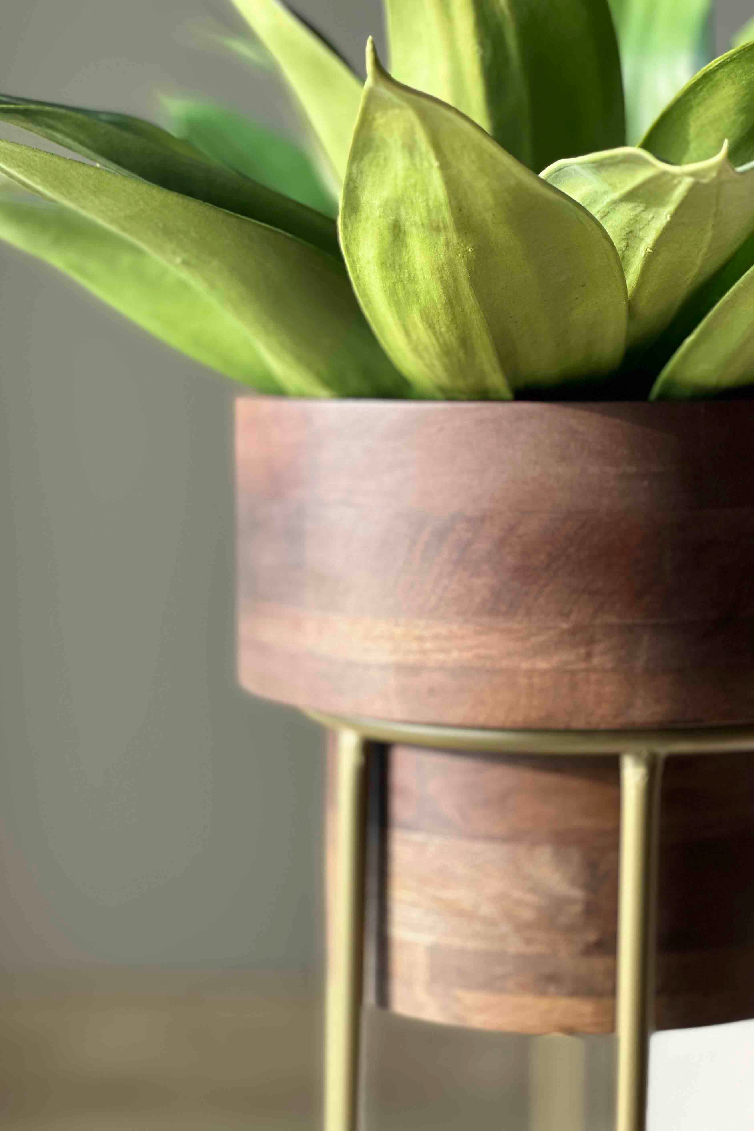 Vienna Wooden Planter With Gold Stand - Small