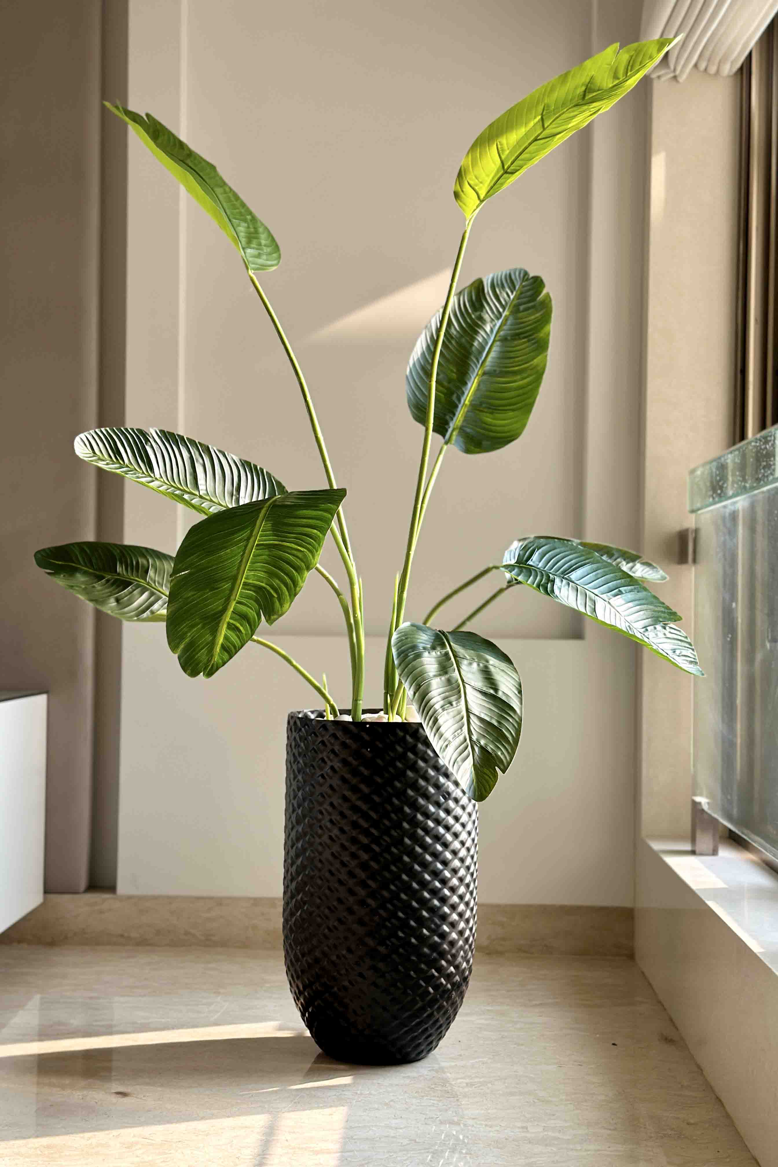 Giza Black Planter - Large