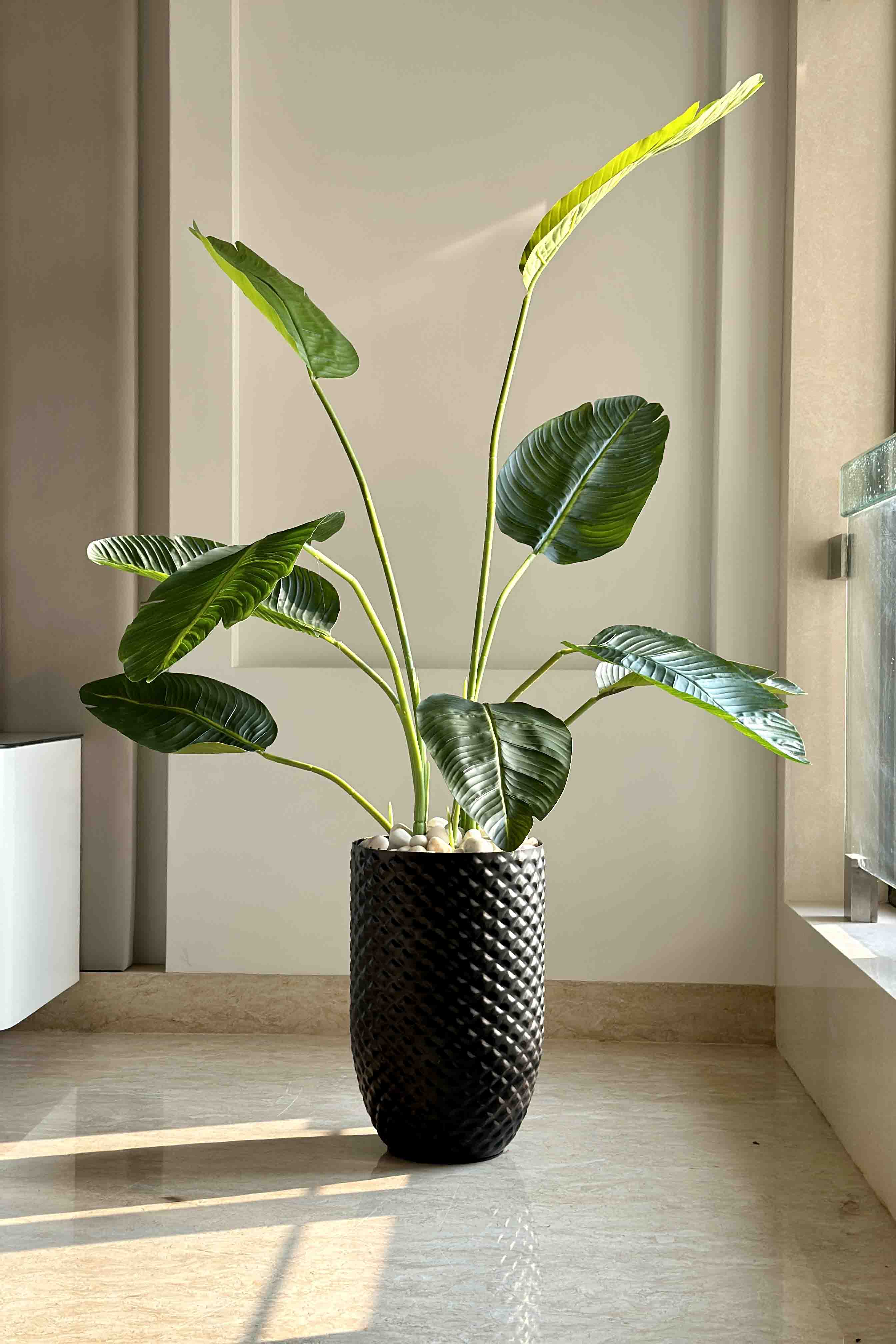 Giza Black Planter - Medium