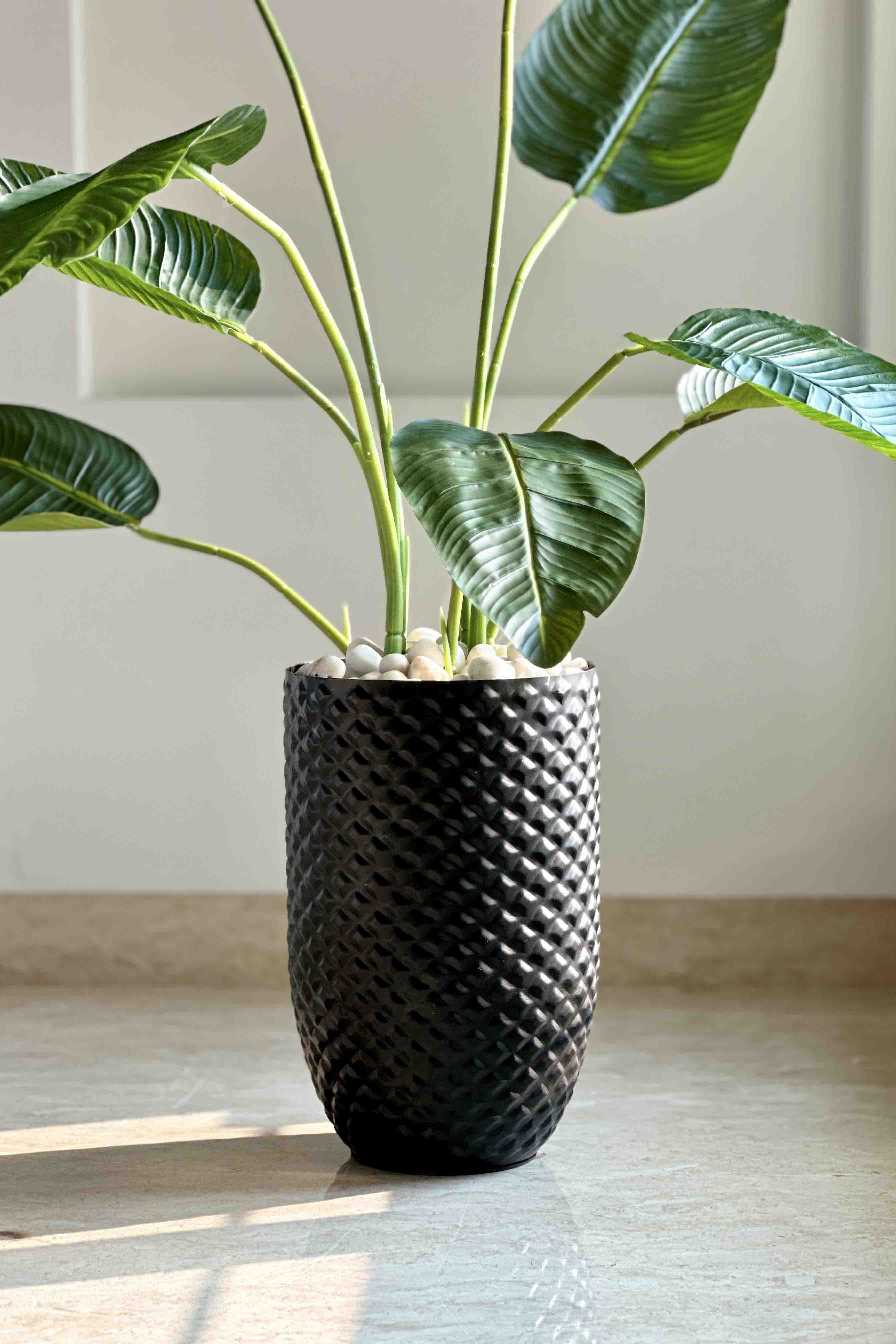 Giza Black Planter - Medium