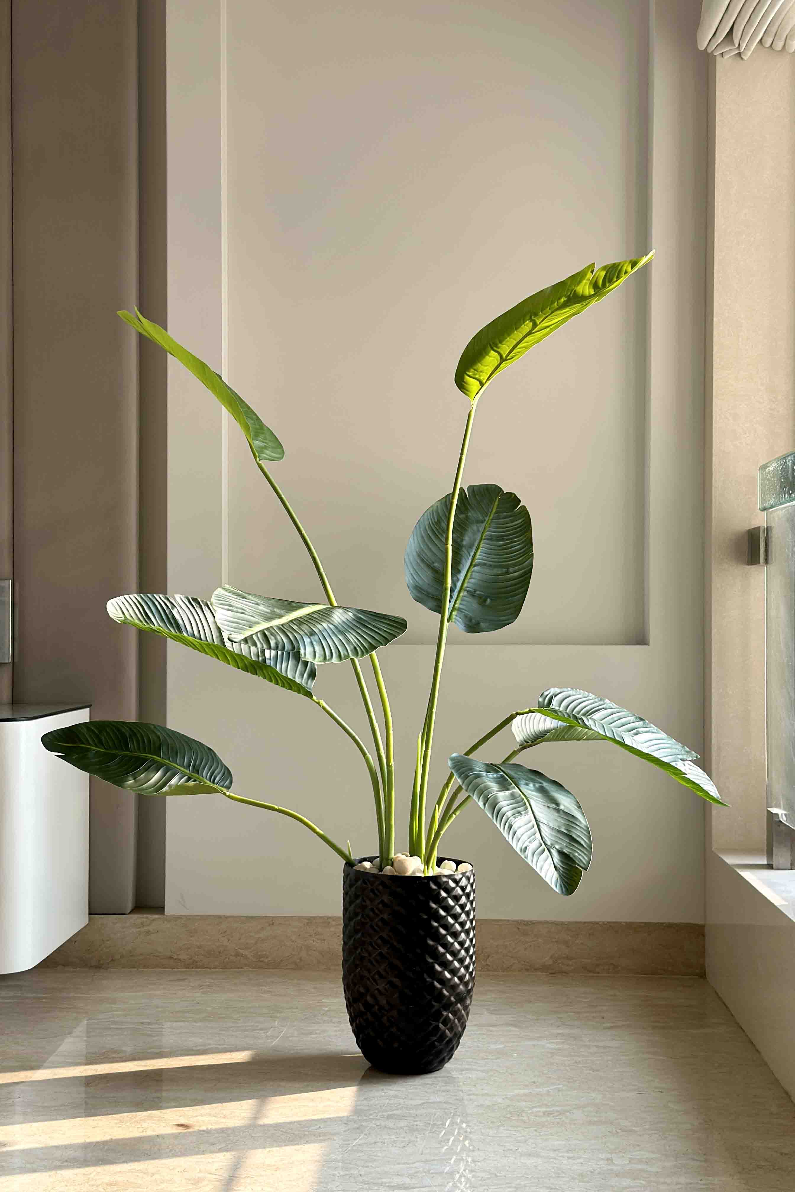 Giza Black Planter - Small