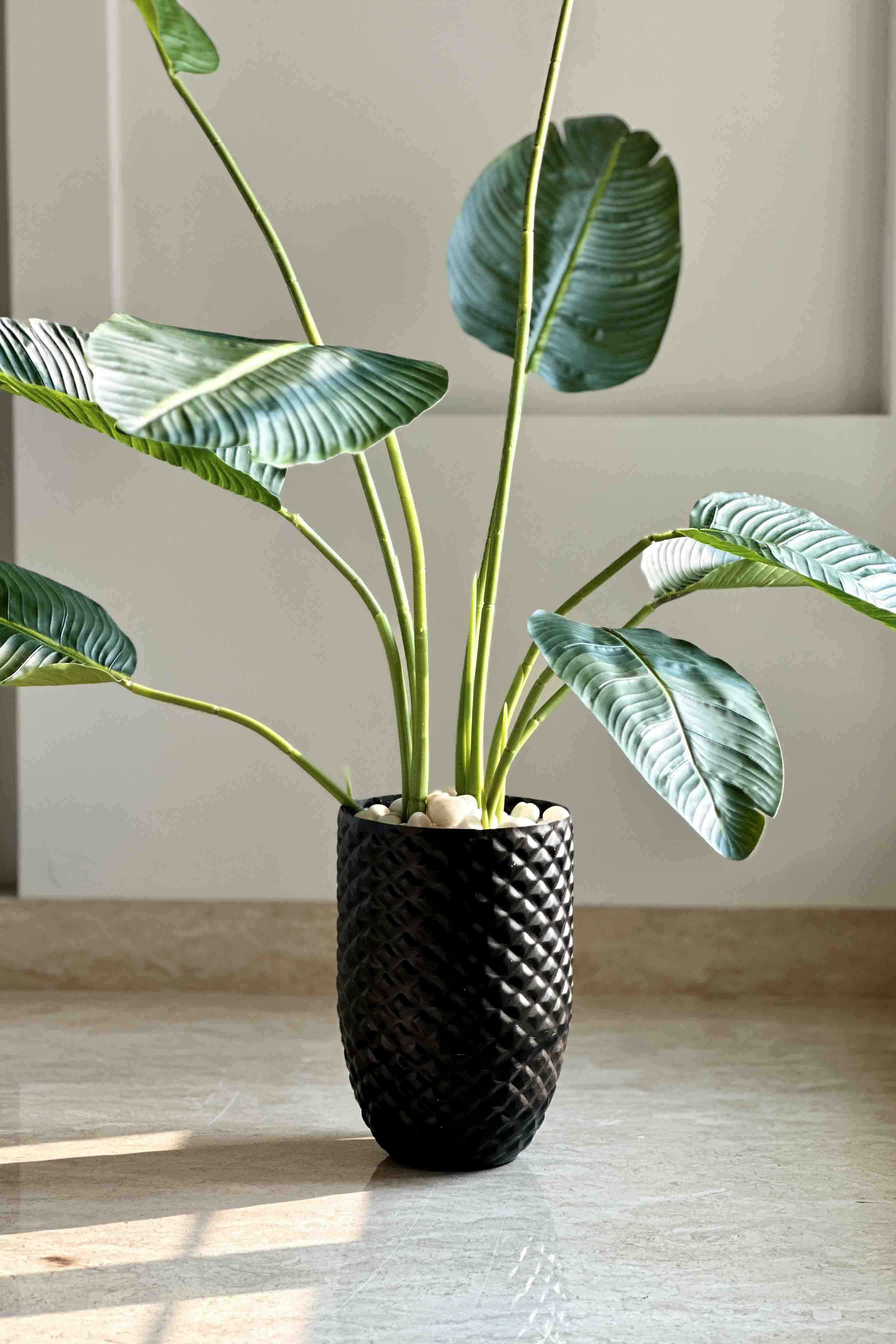 Giza Black Planter - Small