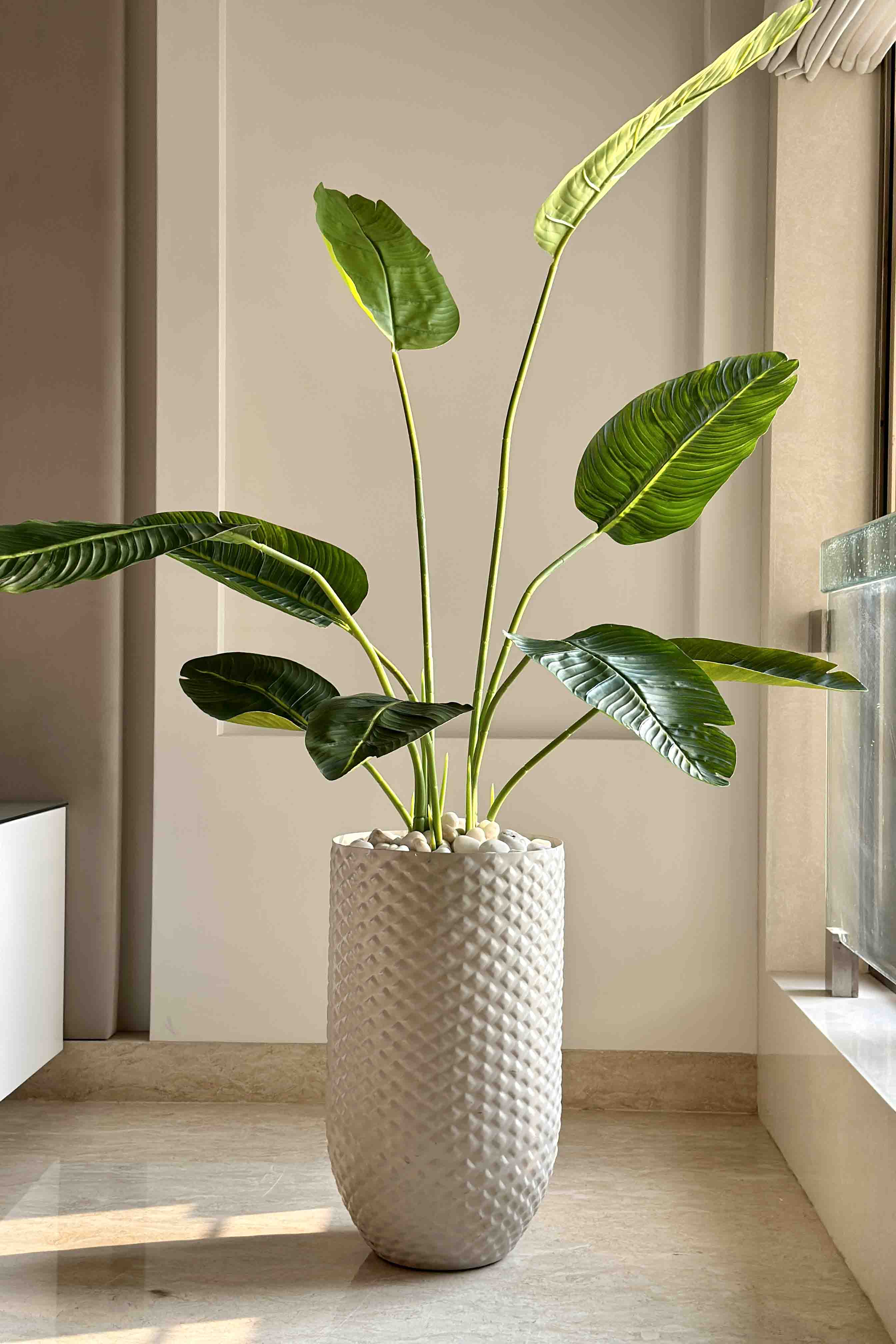 Giza Beige Planter - Large