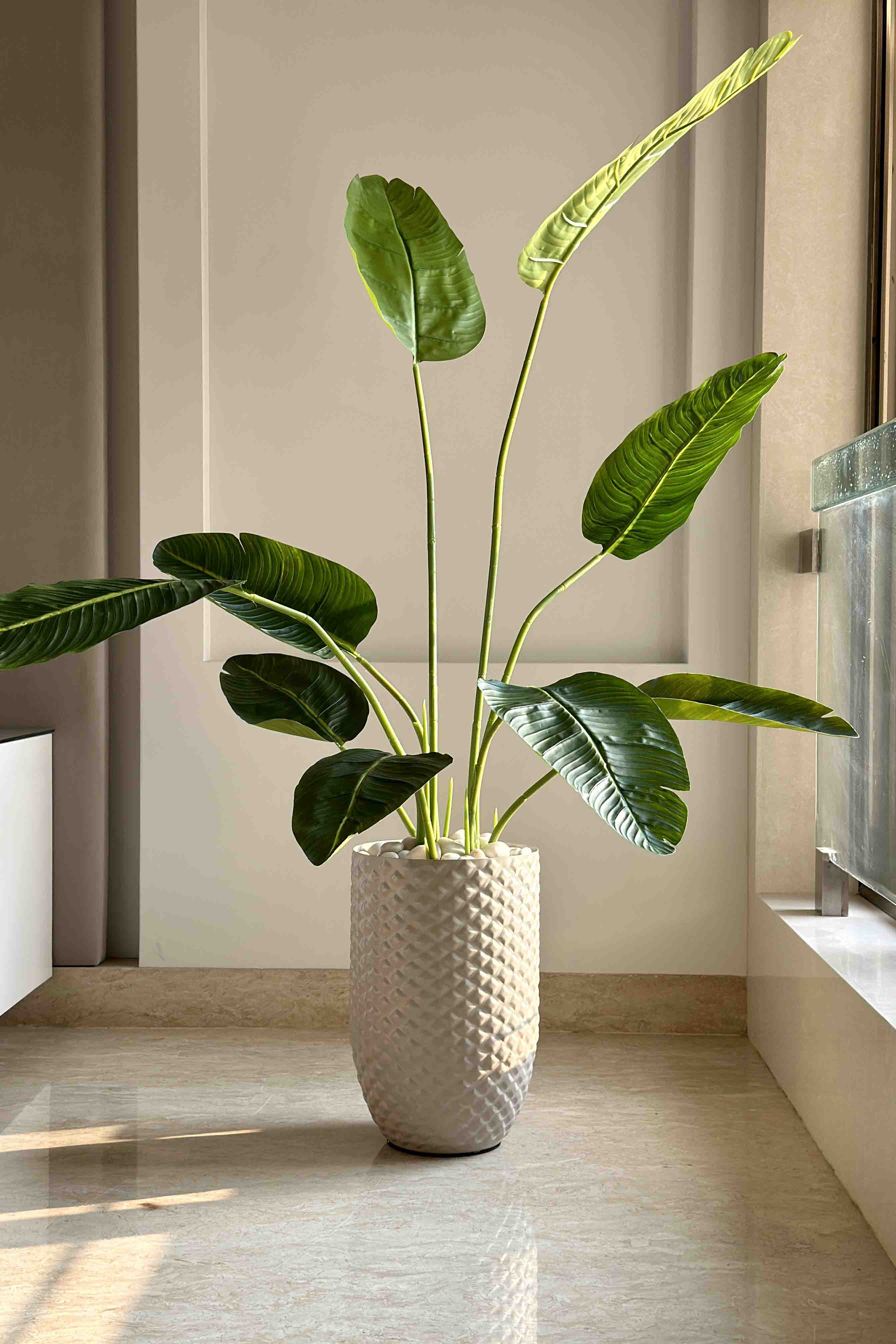 Giza Beige Planter - Medium