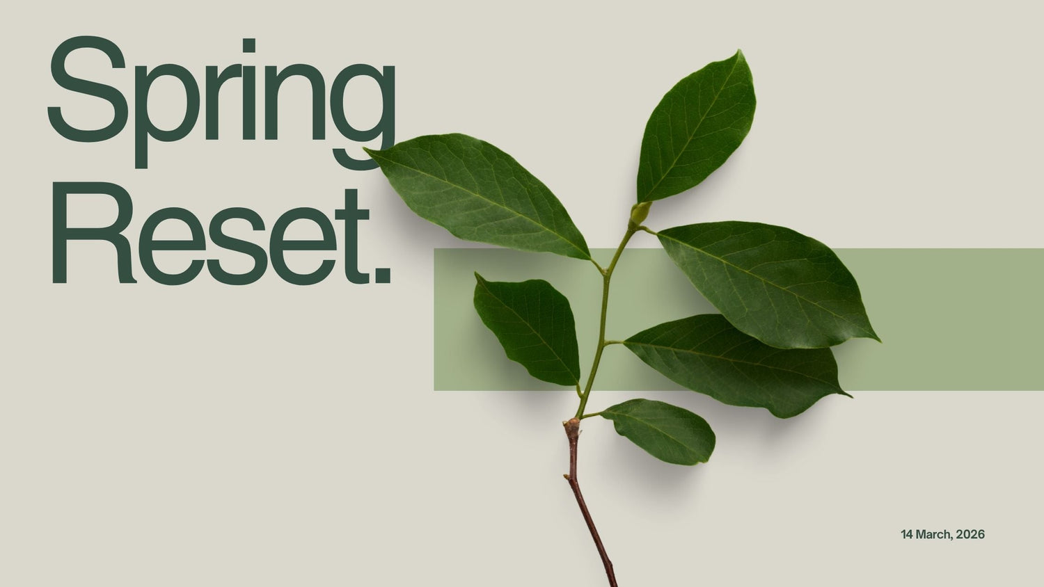 The Spring Reset: Small Decor Changes That Instantly Refresh Your Space