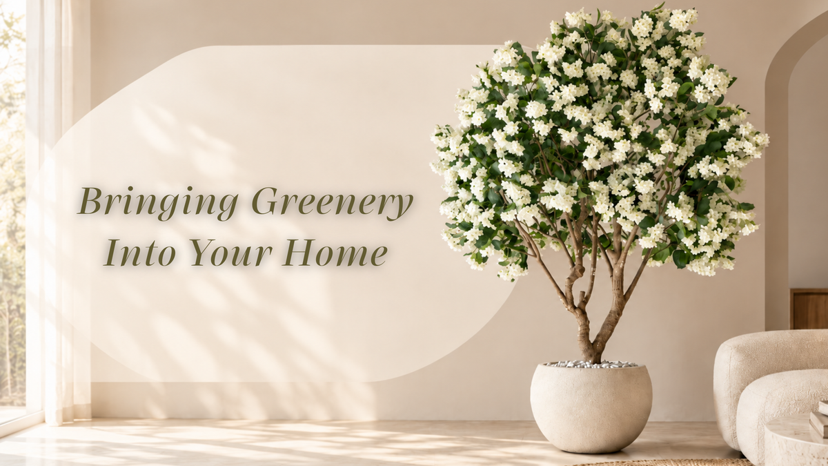 Plants Can Change A Room: Bringing Greenery Into Your Home
