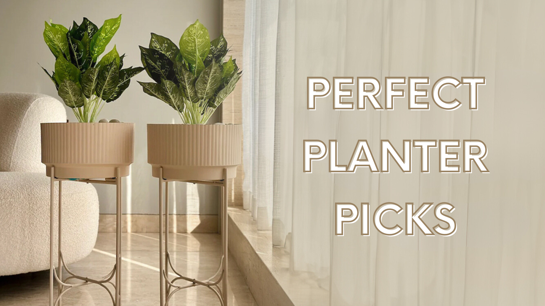 ⁠Guide to choosing the perfect planters : Tips & Tricks – Mason Home