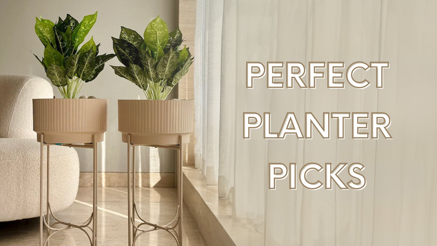 ⁠Guide to choosing the perfect planters : Tips & Tricks