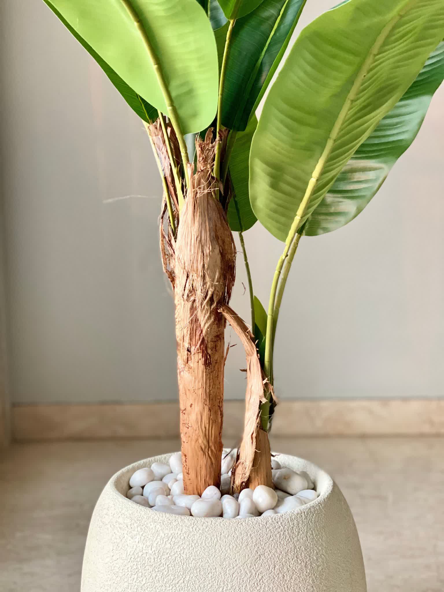 Artificial Musa Palm Plant - 4 Feet