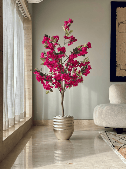 Eden Allura Planters: Medium