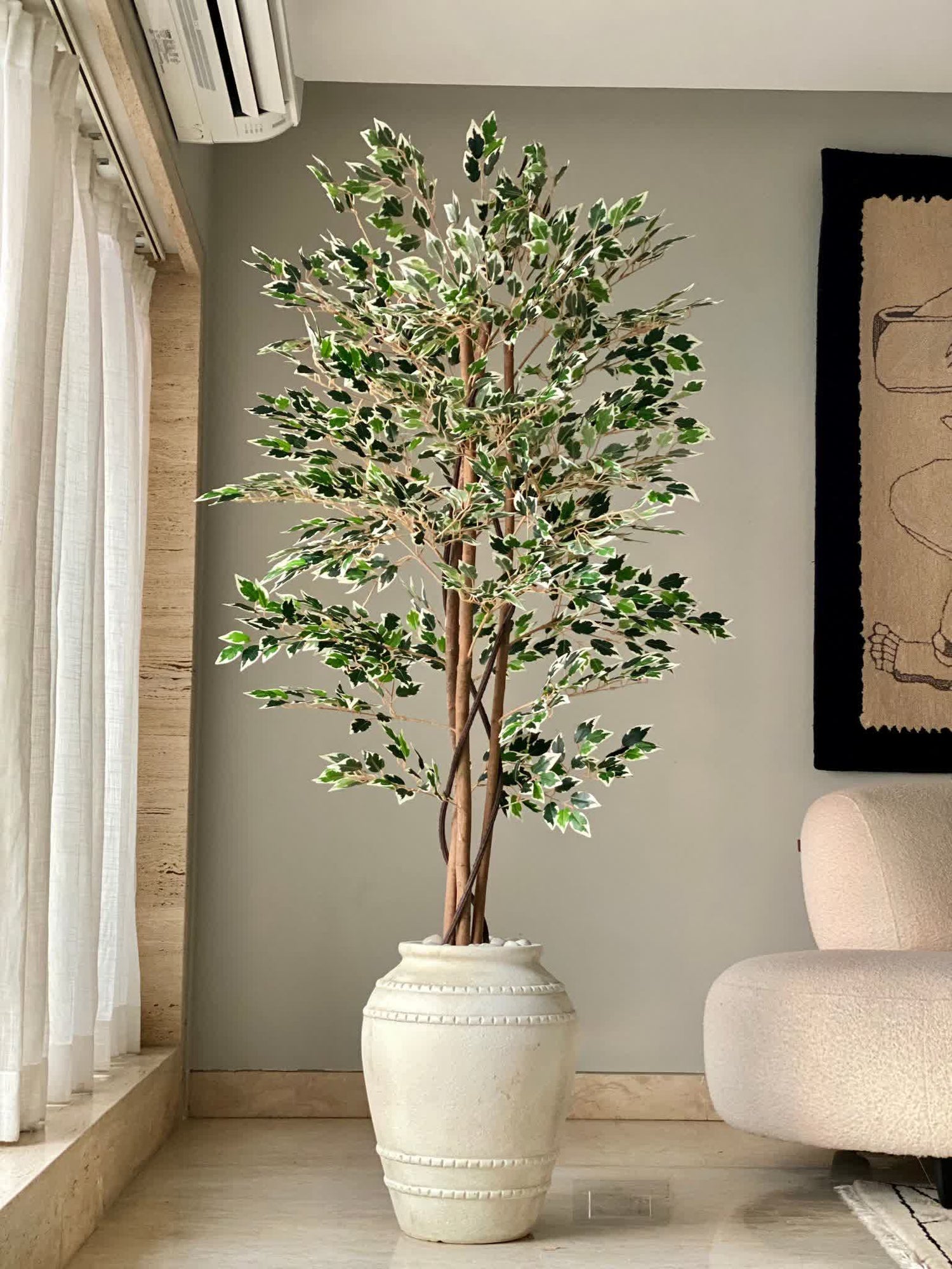 Artificial Dappled Ficus Plant - 5.5 Feet