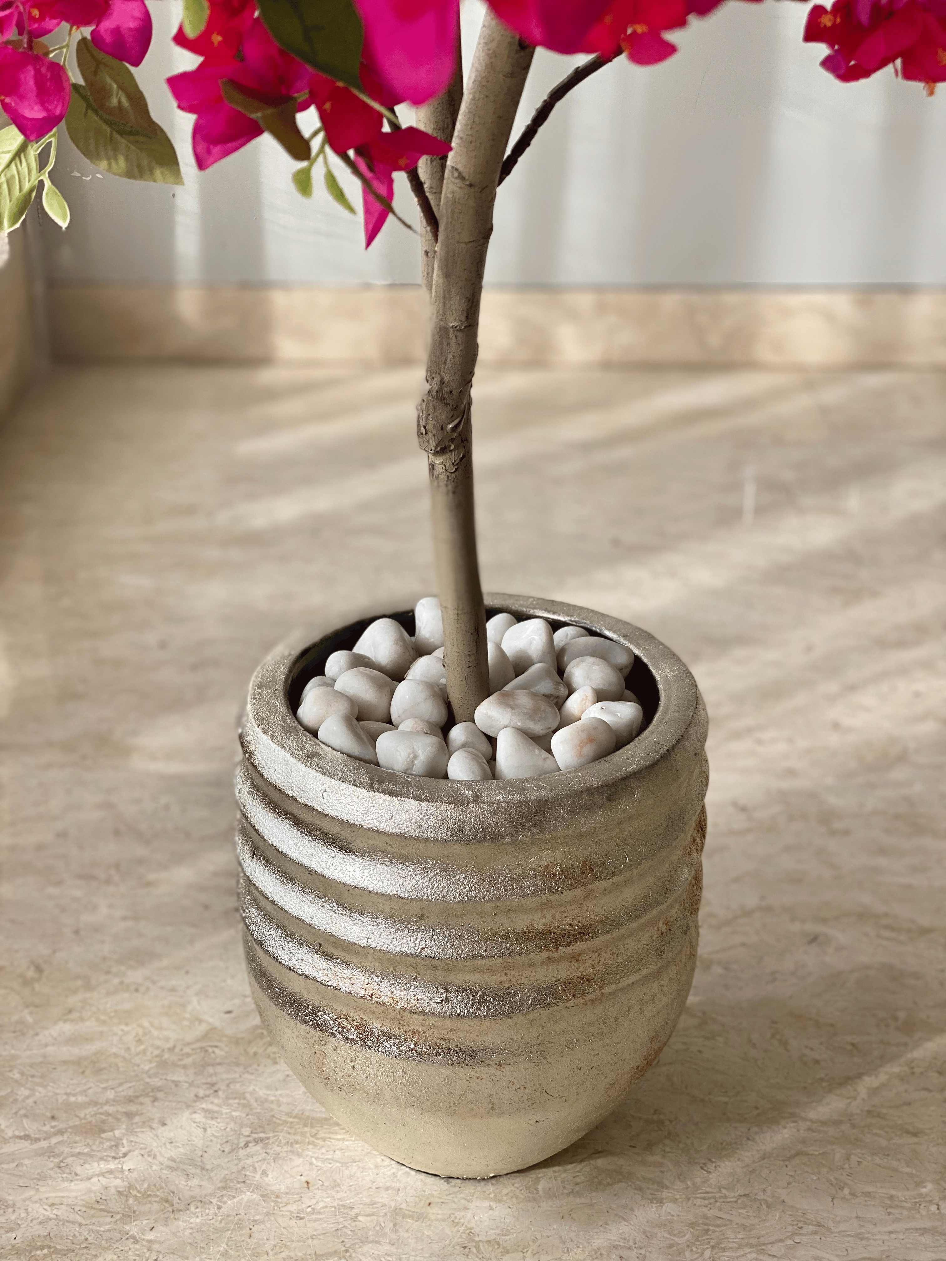 Eden Allura Planters: Medium