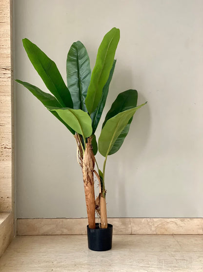 Artificial Musa Palm Plant - 4 Feet