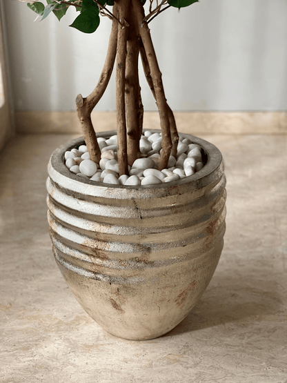 Eden Allura Planter: Large