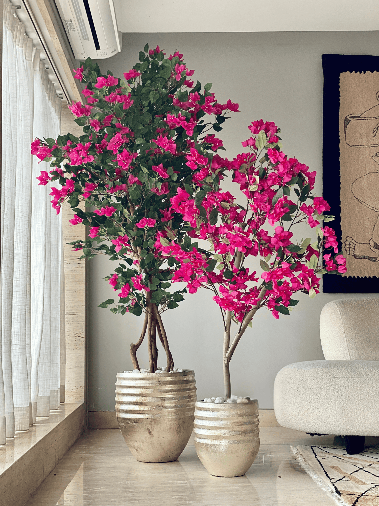 Eden Allura Planters: Medium