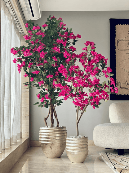 Eden Allura Planter: Large