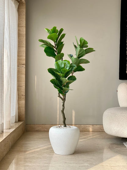 Artificial Glory Fiddle Leaf Plant - 4 Feet